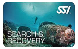 SSI Search and Recovery