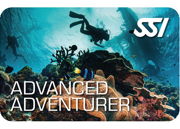 SSI Advanced Adventurer