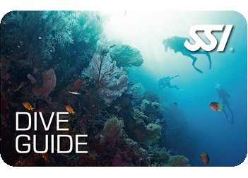 SSI Dive Guide