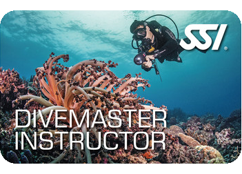 SSI Divemaster Instructor