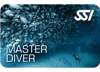 SSI Master Diver