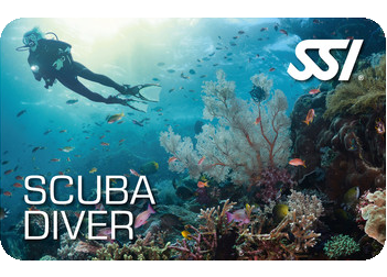 SSI Scuba Diver